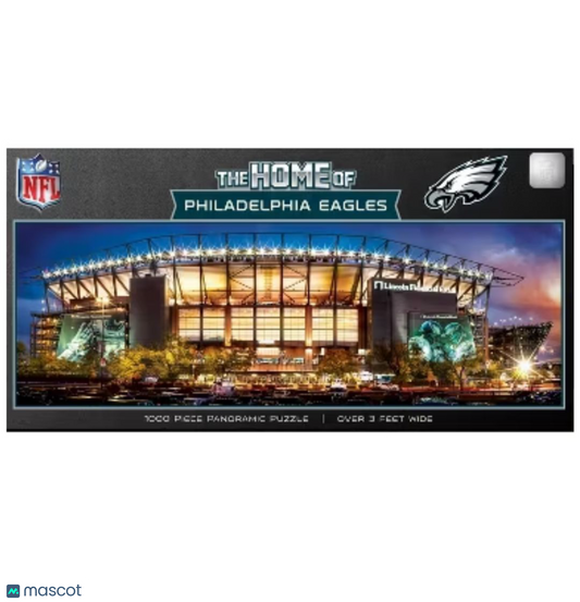 Philadelphia Stadium Puzzle