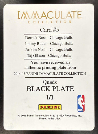 2015-16 Panini Spectra Derrick Rose #5 Materials Black Prizms 1/1