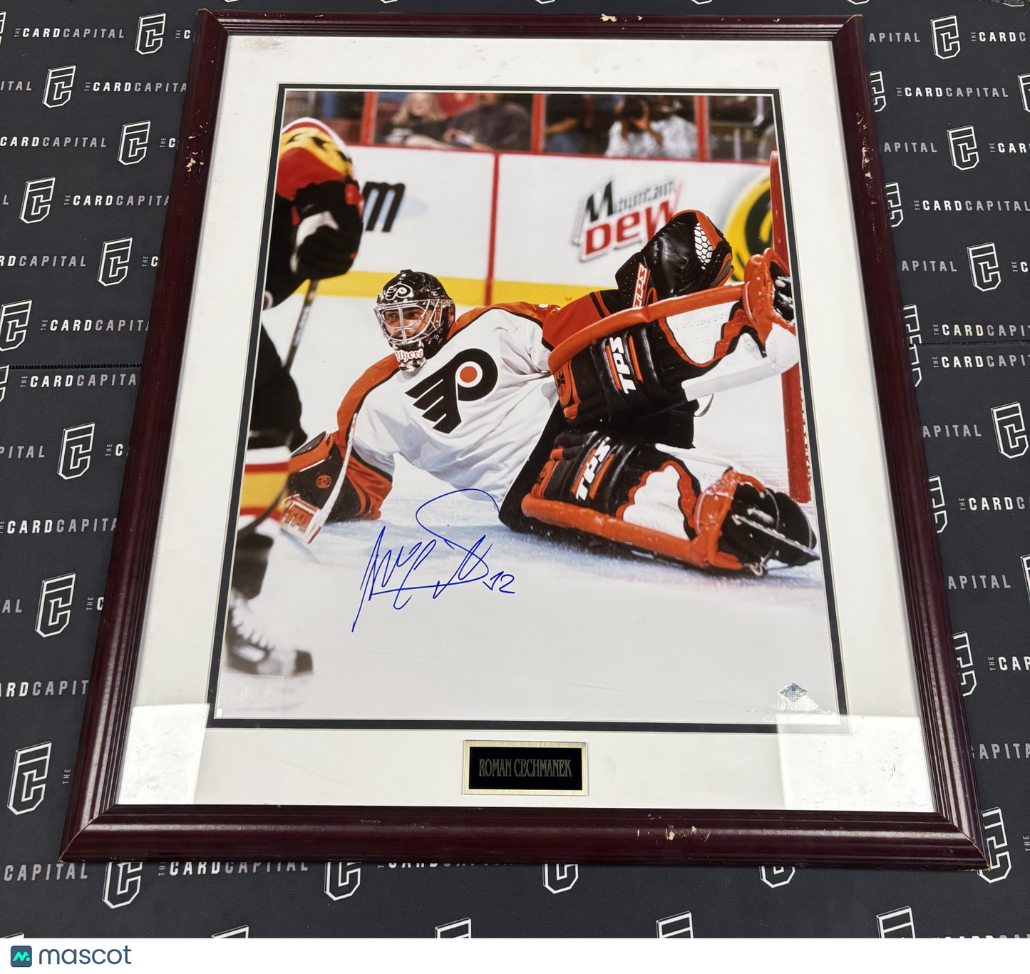 Roman Cechmanek Signed 16x20 Photo BSC COA